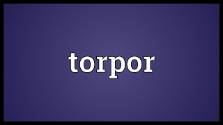 Torpor Meaning [upl. by Ashlen]