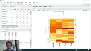 Heatmap Dendogram Clustering Rstudio [upl. by Leuqcar735]