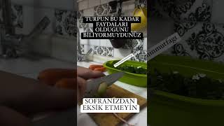 Turpun bu kadar faydalı olduğunu bilmiyormuydunuz turp faydaları keşfet tüyo [upl. by Apostles]