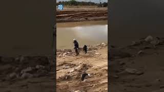 Agente canino realiza labores de búsqueda en el río Turia [upl. by Bal920]