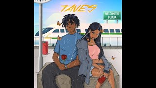 Taves – Folake Official Lyric Video [upl. by Dougal394]