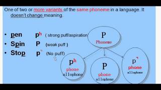 Morphology Lesson 5 Part 1 Morphemes and Allomorphs [upl. by Aneev]