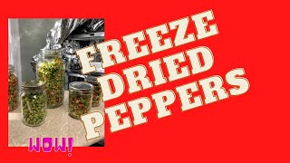 Freeze Drying Peppers [upl. by Sliwa]