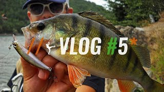 Maelstrom Fishing Vlog 5 Varalicarenje bandara tonucim voblerima [upl. by Lucy]