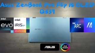 Asus Zenbook Pro 15 Flip OLED Q539 1 Month Review [upl. by Maribeth]