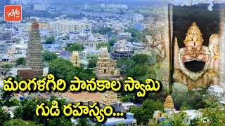 Mangalagiri Panakala Swamy Temple History in Telugu  Unsolved Mysteries in Telugu  YOYO TV Channel [upl. by Suoiradal730]