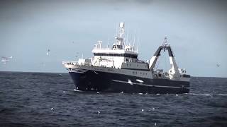 South African Deep Sea Trawl Fishery and MSC  Sea Harvest [upl. by Aynekat]