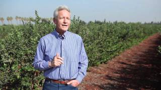 Should I be worried about pesticide residues on my fruits and vegetables [upl. by Iliam459]