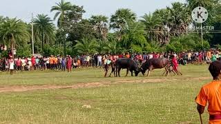 sarjomghutu barhait prkhand vs dulumpur patna prkhand first ropok at badi paharpur maidan ka [upl. by Hsina]