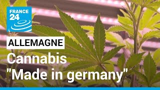 Allemagne  la plus grosse production de cannabis quotindoorquot en Europe • FRANCE 24 [upl. by Livia]