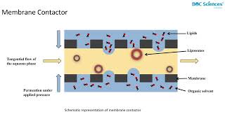 Liposome Preparation 2 [upl. by Airam]