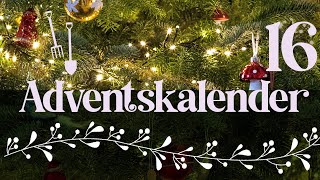 Adventskalender der Garten YouTuber 2023  Türchen 16 der Gartenpapa [upl. by Laughton]