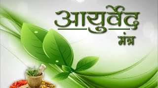 Ayurveda Mantra  Episode 5  सत्यानाशी Argemone mexicana  जलोदर रोग Ascites Disease [upl. by Malamut]