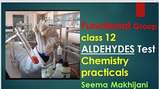 Organic Functional group test for Aldehyde Tollens and Fehlings Class 12 by Seema Makhijani [upl. by Bendite]