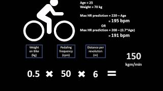 YMCA Protocol  Submaximal exercise test for predicting VO2max [upl. by Llahsram]