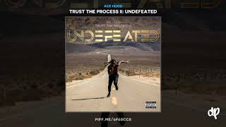 Ace Hood  Ace Hood  Questions Interlude Trust The Process II [upl. by Ymmac]