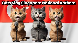 Cats Singing Singapore National Anthem  Adorable quotMajulah Singapuraquot [upl. by Bennink145]