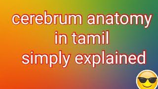 Cerebrum Anatomy in tamil explained clearly [upl. by Ojimmas]