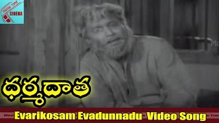 Evarikosam Evadunnadu Video song  Dharma Daata Movie  ANR Kanchana  MovieTimeCinema [upl. by Nairahcaz]