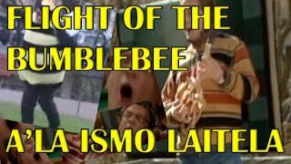 Flight of the Bumblebee Ala Ismo Laitela [upl. by Edorej43]