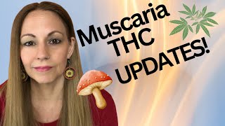 Amanita Muscaria And Cannabis Update [upl. by Lucius]