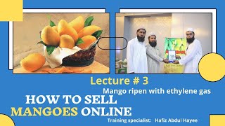 Lecture 3 Mango ripening with ethylene gas  How to sell mangoes online [upl. by Rapsag]