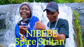 Spice SultanNIBEBEOfficial Audio [upl. by Ludvig801]