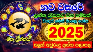 2025 Panchanga  2025 Litha  Meena Lagnaya  2025 Lagna palapala  2025 Horoscope  2025 calendar [upl. by Piggy]