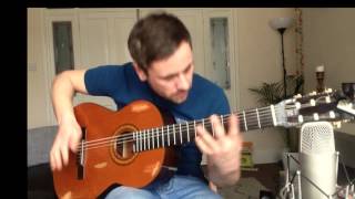 Rage Against The Machine  Killing In the Name  Fingerstyle [upl. by Nivel664]