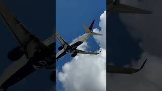 Delta Airlines Plane Landing [upl. by Dickson]