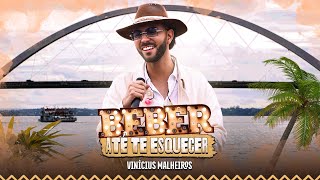 Beber Até Te Esquecer  Vinicius Malheiros  Piseiro do Malheiros [upl. by Atiuqrahc26]