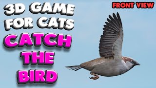 3D game for cats  CATCH THE BIRD front view  4K 60 fps stereo sound [upl. by Aserahs]