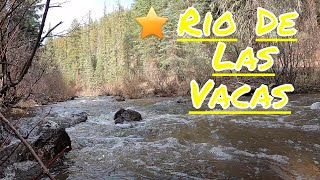 Fishing The Rio De Las Vacas In Cuba Mountains [upl. by Metzger]