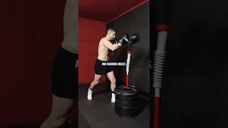 Best beginner approach to reflex bag training [upl. by Ham356]