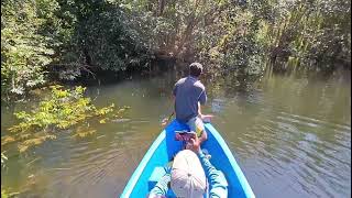 To plant in flooded forest area [upl. by Ojela971]