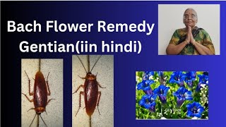 Bach Flower Remedy GENTIANin hindi [upl. by Esined254]