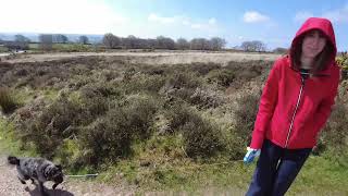 Walk up Dunkery Beacon Exmoor [upl. by Kcirneh]