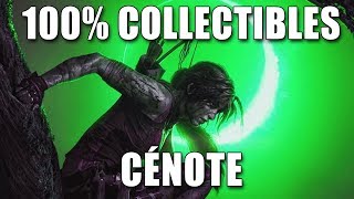 SHADOW OF THE TOMB RAIDER  100 CÉNOTE Défis Tombeaux Documents Reliques Caches [upl. by Ardnu128]