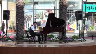 Everybody Wants to Be a Cat The Aristocats  Evan Chow pianist [upl. by Annerb]