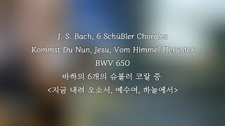 오르간전주곡해설을 곁들인 바하의 오르간 코랄 연주곡 Kommst Du Nun Jesu Vom Himmel Herunter BWV 650 [upl. by Keelin]