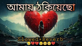 আমায় ঠকিয়েছো Slowed  Reverb  Lofi Song  Bangla Song 2024 [upl. by Vigen]