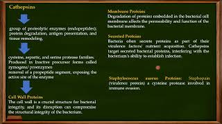 L29 Function of Cathepsins Granules in Neutrophils [upl. by Ylrebmyk]