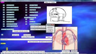 3 NOURISH  Master Nutritional Analysis  Ageing [upl. by Enelcaj]