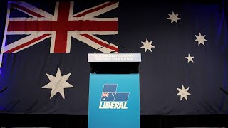 Liberal party dysfunction contributed to NSW election loss [upl. by Nodnarbal665]