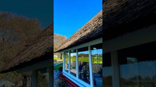 Our thatch roof is really ild and moldy needs a replacement thatchedroof ruralliving [upl. by Oriana]