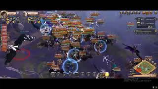 Albion Online 230823 ZvZ Bridled Fury 1 [upl. by Mindy]