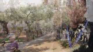 Garden of Gethsemane  Israel Tour [upl. by Ahtabat]