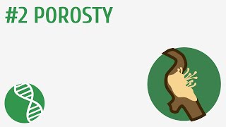 Porosty 2  Grzyby i porosty [upl. by Rimola]