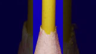 Color pencil amp Tweezers v2 ASMR Close upmacro macro asmrvideo satisfying asmrsounds closeup [upl. by Ahsenahs]