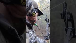 BOW Hunting With SEEK ONE Deer Down [upl. by Osyth134]